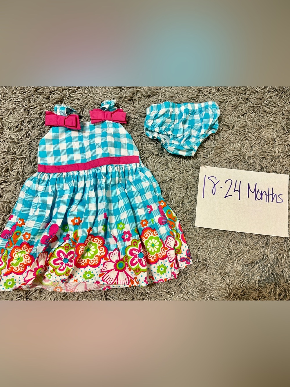Blue Gingham Floral Toddler Dress with Blooming Border